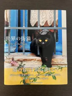 世界の街猫