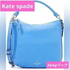 新品　kate spade不思議の国のアリスドットティーポットクロスボディ ドッティ 3D レディバグ クロスボディ | バッグ | ケイト