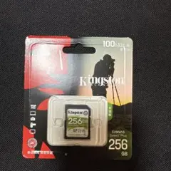 Kingston Canvas Select Plus 256GB
