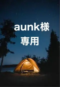 aunk様専用