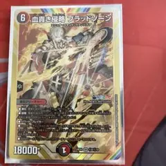 デュエルマスターズ 血貴き侵略 ブラッドゾーン SR 1枚