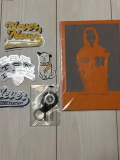 This is Never That ステッカー　キーホルダー　ルックブック