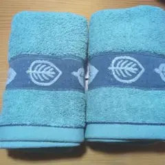 Item thumbnail for item d66eea58-12e1-45dc-9dde-4d3af4f15cc6