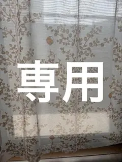 くまのプーさんレースカーテン