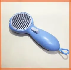 Item thumbnail for item 4561b180-bdf1-4533-b833-98481e87b5b4