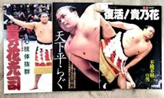 ☆お値下げ❢平成6年・7年・14年発行   元横綱   貴乃花の本  〈３冊〉
