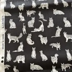 リバティタナローン ミャオウ