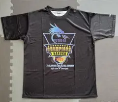 Mizuno 春の高校バレー　春高　2025 バレーボールTシャツ Mサイズ Mizuno 春の高校バレー 春高 2025 バレーボールTシャツ Mサイズ