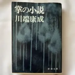 掌の小説
