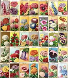 370【現品限り!】35枚!フランス1900s 希少シードパケットラベル