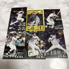 プロ野球チップス 2025 阪神タイガース セット