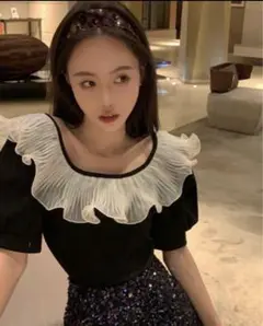 SHEIN Honeyspot コントラスト　フリルトリム　パフスリーブTシャツ