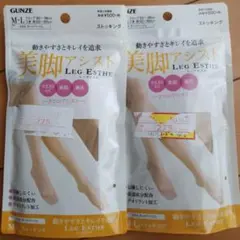 GUNZE/美脚アシスト/Leg Esthe/M-L 2個セット