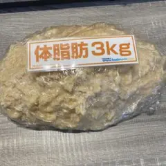 体脂肪サンプルしぼやん3kg