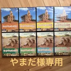 アニマルプラネット ミーアキャットの世界 シーズン1・2 全巻セット