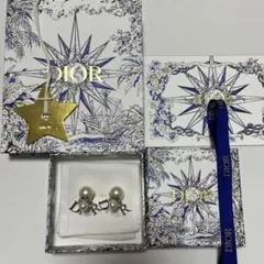Christian Dior TRIBALES ピアス