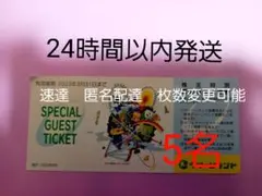 株主優待 北海道グリーンランド 三井グリーンランド グリーンランド入場券5