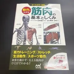 動作でわかる筋肉の基本としくみ : オールカラー図解