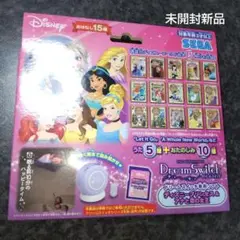 ドリームスイッチ 専用ソフト ディズニープリンセス＆アナと雪の女王　未開封新品