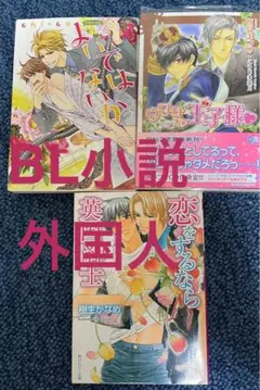 BL小説　外国人