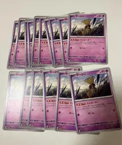 ケーシィ　17枚　匿名発送