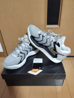 Nike KD 17 カラー：グレー/ブラック/ホワイト サイズ：26.0