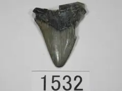 Item thumbnail for item f6644aab-06b0-4b96-9336-ac38f7b8a5e2