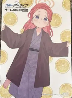ブルーアーカイブ ゲーム開発部　本　花岡ユズ　アニメイト　ビジュアルボード