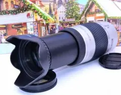 レンズは見逃さない! ソニー用 望遠レンズ ミノルタ75-300㎜