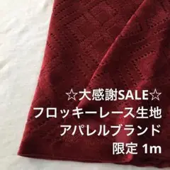 2FL/5405◆1m 感謝祭/限定/ポリレーヨン混フロッキーレース生地