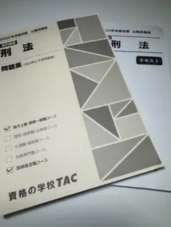 刑法問題集 2025年合格目標