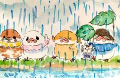 真夏の突然の雨に傘なんていらない　8/3 9（原画）ポストカードのみ
