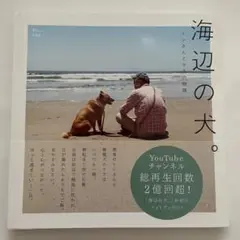 海辺の犬　匿名