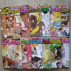 ビッグコミックオリジナル 2025年 1.5号~6.20号(全12冊)