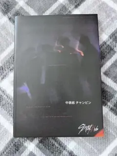 スキズ IAMNOT アルバム 中表紙 チャンビン