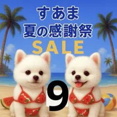 ✨夏の感謝祭セール✨パネル【Ｎｏ．9】