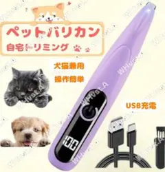 Item thumbnail for item 442d8df9-08d7-4986-9000-c3fe924e3f12