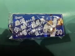 8/10～ 中日ドラゴンズ 根尾昂 選手応援歌キーホルダー ドラゴンズガチャ