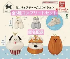 メゾンテリア　 ミニチュアチャームコレクション　コンプリート　ガチャ