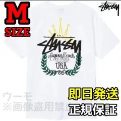 STUSSY WREATH TEE ホワイト Mサイズ ステューシー