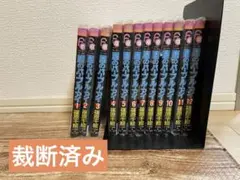 裁断済み＊闇のパープル・アイ 全12巻セット