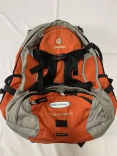 ドイタートランスアルパイン25 レインカバー付き