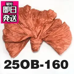 Item thumbnail for item 6d71ca47-68e6-4970-b405-4d7ab348e3a3