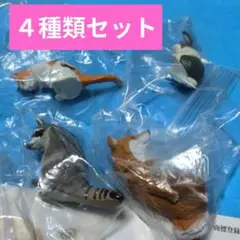 Item thumbnail for item 80c6446b-6a07-4110-b34c-a2947bbf9511