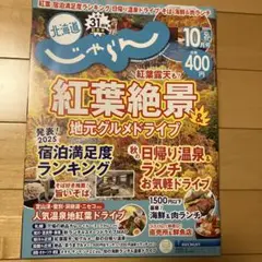 Item thumbnail for item b658b1ea-71a8-4581-8b9a-8e73aab4f1cb