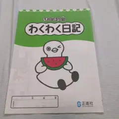 ラスト1点につき単品値下げ不可☆新品未使用♥　正進社　きわめる！　夏わくわく日記