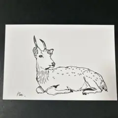 ボールペン画　鹿