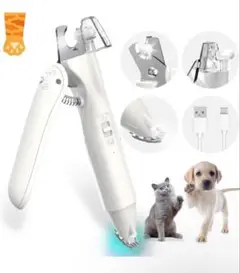 Item thumbnail for item c5d4bbba-de2f-4266-a9ee-00b324468e14
