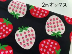 2m　いちご　フルーツinフルーツ　オックス　生地　苺　ブラック　239