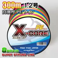 高強度PEラインX-CORE1.2号20lb(8編)300m巻!5色マルチカラー